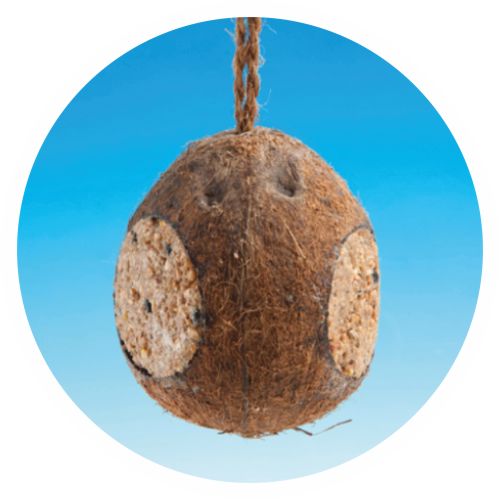 Kokosnuss-Produkte