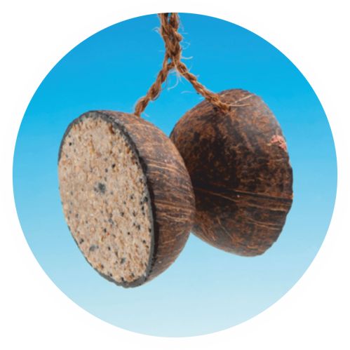 2 x 1/2 Kokosnüsse gefüllt mit Wildvogelfutter- und Beerenmischung