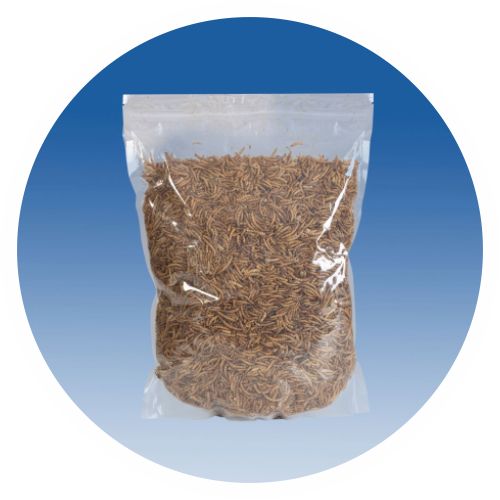 Dried Mealworms, 1000g