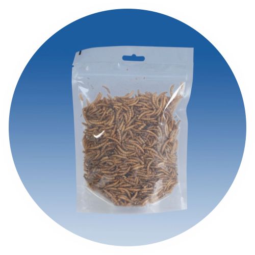 Dried Mealworms, 100g