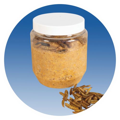 Erdnussbutter, mit Mehlwürmern, 350g