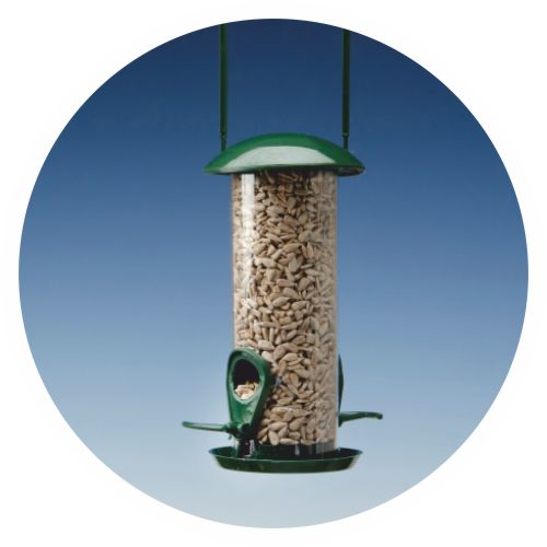 Premium Feeder with sunflower kernels